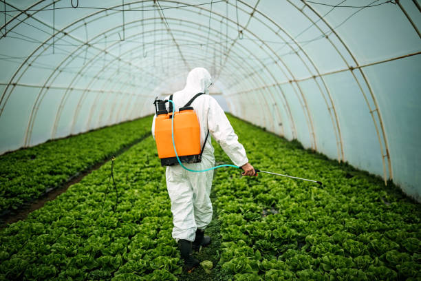 Best Residential Pest Control  in Pirtleville, AZ