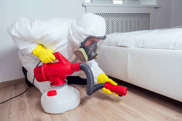 Best Commercial Pest Control Services  in Pirtleville, AZ